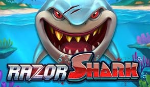 Rasor Shark в casino x